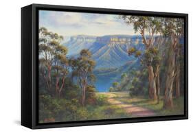 Blue Mountains Bushwalk-John Bradley-Framed Stretched Canvas