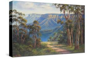 Blue Mountains Bushwalk-John Bradley-Stretched Canvas