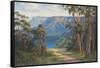 Blue Mountains Bushwalk-John Bradley-Framed Stretched Canvas