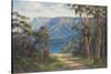 Blue Mountains Bushwalk-John Bradley-Stretched Canvas