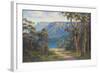 Blue Mountains Bushwalk-John Bradley-Framed Giclee Print