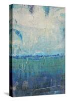 Blue Movement I-Tim OToole-Stretched Canvas