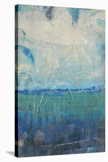 Blue Movement I-Tim OToole-Stretched Canvas