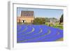 Blue Muscari Field in Holland-topdeq-Framed Photographic Print