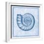 Blue Nautilus B-Sarah E. Chilton-Framed Art Print