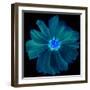 Blue Neon Flowers Background.-Memories Lines-Framed Art Print