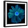 Blue Neon Flowers Background.-Memories Lines-Framed Art Print