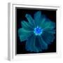 Blue Neon Flowers Background.-Memories Lines-Framed Art Print