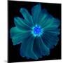 Blue Neon Flowers Background.-Memories Lines-Mounted Art Print