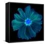 Blue Neon Flowers Background.-Memories Lines-Framed Stretched Canvas