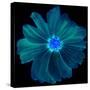 Blue Neon Flowers Background.-Memories Lines-Stretched Canvas