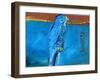 Blue Night Killer, 2016-Gigi Sudbury-Framed Giclee Print