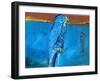 Blue Night Killer, 2016-Gigi Sudbury-Framed Giclee Print