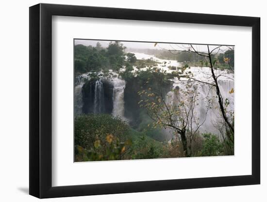 Blue Nile Falls, Lake Tana Area, Gondar Region, Ethiopia, Africa-Bruno Barbier-Framed Photographic Print