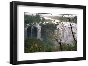 Blue Nile Falls, Lake Tana Area, Gondar Region, Ethiopia, Africa-Bruno Barbier-Framed Photographic Print