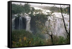 Blue Nile Falls, Lake Tana Area, Gondar Region, Ethiopia, Africa-Bruno Barbier-Framed Stretched Canvas