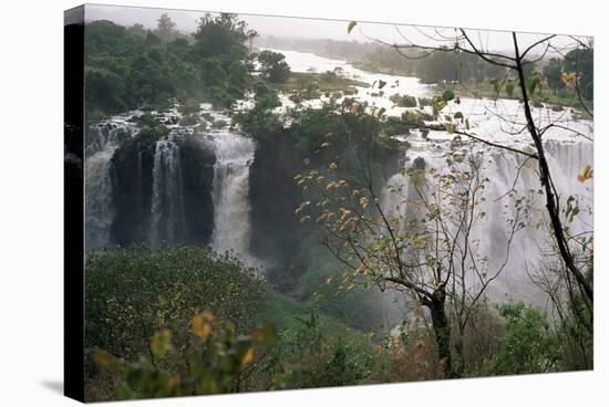 Blue Nile Falls, Lake Tana Area, Gondar Region, Ethiopia, Africa-Bruno Barbier-Stretched Canvas