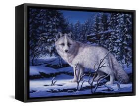 Blue Northern-R.W. Hedge-Framed Stretched Canvas