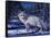 Blue Northern-R.W. Hedge-Framed Stretched Canvas