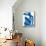 Blue Nude-Henri Matisse-Mounted Art Print displayed on a wall