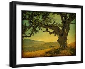 Blue Oak Hilltop-William Guion-Framed Photographic Print