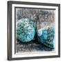 Blue Ocean Shells-Andrea Haase-Framed Art Print