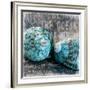 Blue Ocean Shells-Andrea Haase-Framed Art Print