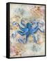 Blue Octopus-LuAnn Roberto-Framed Stretched Canvas