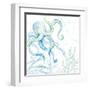 Blue Octopus-Lanie Loreth-Framed Art Print