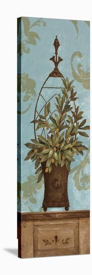 Blue Olive Topiary II-Pamela Gladding-Stretched Canvas