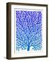 Blue Ombre Fan Coral-Cat Coquillette-Framed Giclee Print