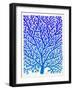 Blue Ombre Fan Coral-Cat Coquillette-Framed Giclee Print