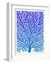 Blue Ombre Fan Coral-Cat Coquillette-Framed Giclee Print