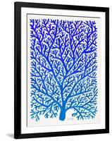 Blue Ombre Fan Coral-Cat Coquillette-Framed Giclee Print