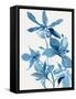 Blue Orchid I-Asia Jensen-Framed Stretched Canvas