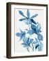 Blue Orchid I-Asia Jensen-Framed Art Print