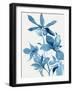 Blue Orchid I-Asia Jensen-Framed Art Print
