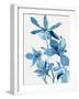 Blue Orchid I-Asia Jensen-Framed Art Print