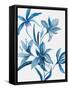 Blue Orchid II-Asia Jensen-Framed Stretched Canvas