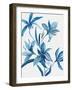 Blue Orchid II-Asia Jensen-Framed Art Print