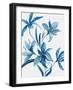 Blue Orchid II-Asia Jensen-Framed Art Print