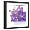 Blue Orchid-null-Framed Art Print