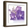 Blue Orchid-null-Framed Art Print