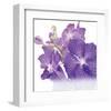 Blue Orchid-null-Framed Art Print