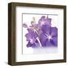 Blue Orchid-null-Framed Art Print