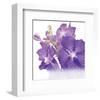 Blue Orchid-null-Framed Art Print