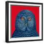 Blue Owl, 1995-Tamas Galambos-Framed Giclee Print