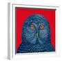 Blue Owl, 1995-Tamas Galambos-Framed Giclee Print