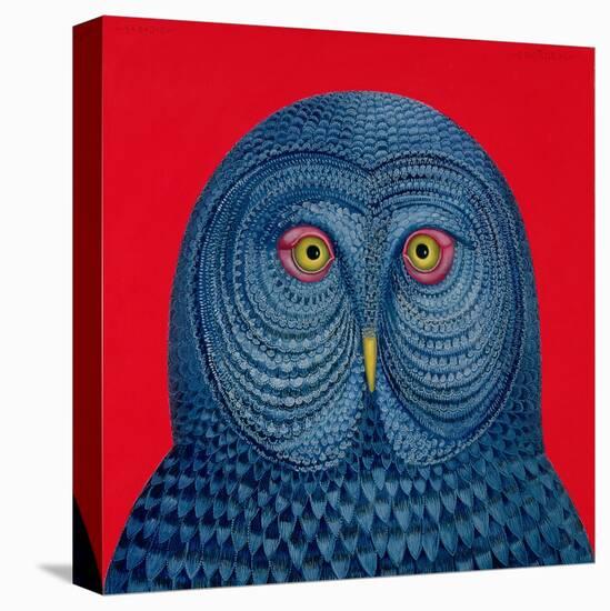 Blue Owl, 1995-Tamas Galambos-Stretched Canvas