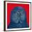 Blue Owl, 1995-Tamas Galambos-Framed Giclee Print